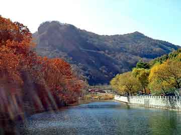 新澳天天开奖资料大全旅游团，壳牌机油型号